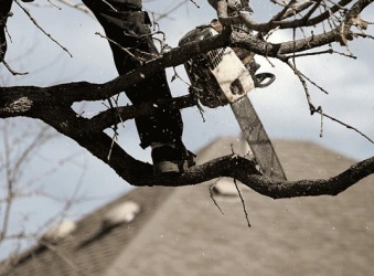 Keep Your Home Comfortable with Proper Roof Upkeep Keep Your Home Comfortable with Proper Roof Upkeep