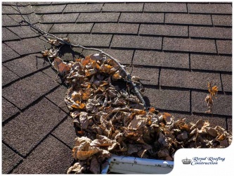 gallery_111-royalroofingocla1_1665482616.jpg