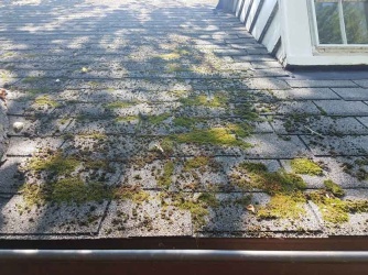 gallery_61-royalroofingocla2_1685357101.jpg